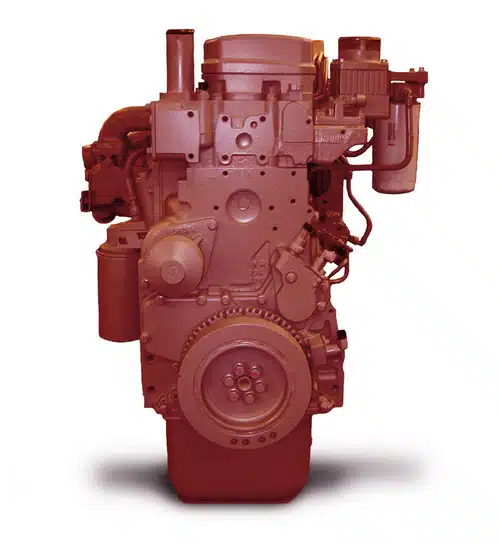 tiger cat dpf delete